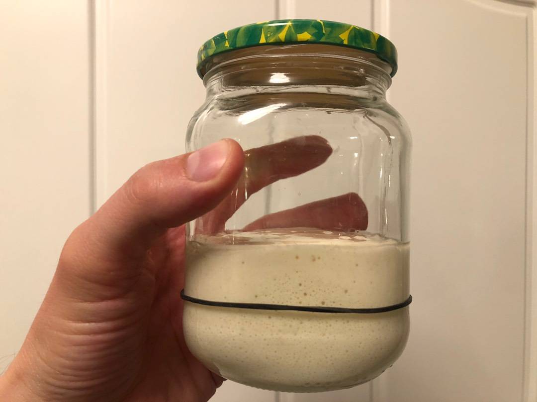 Saját kovászom recept – 13. lépés