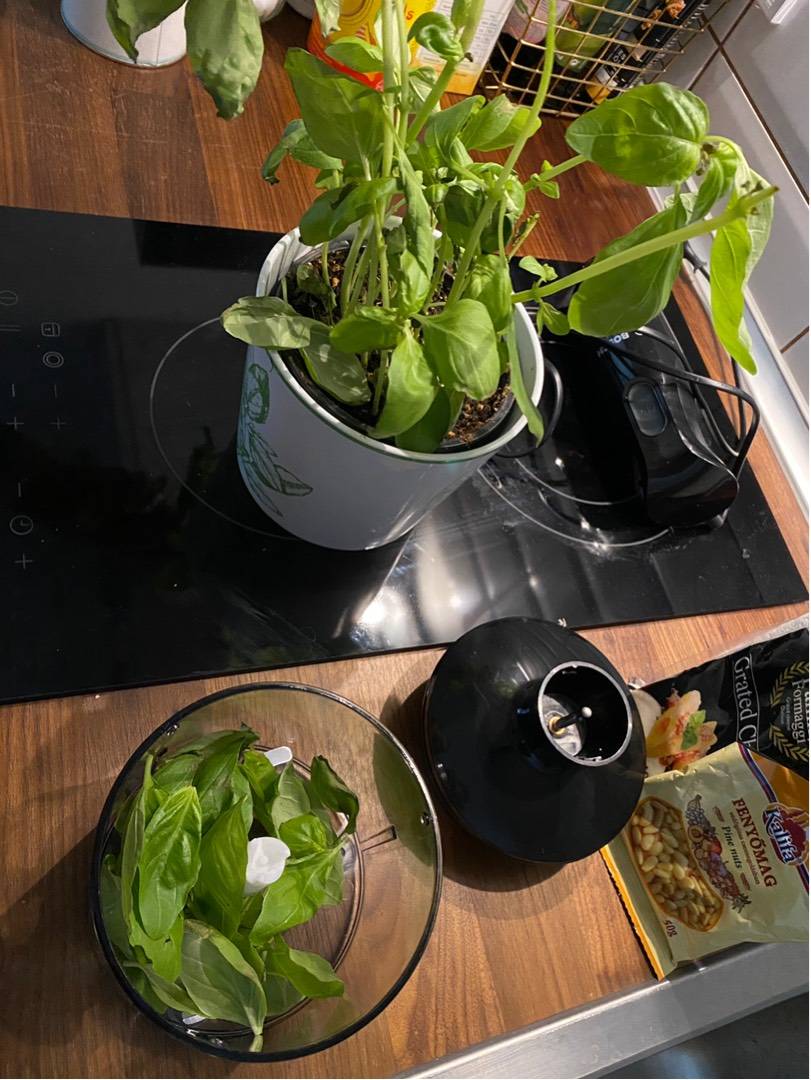 Házi pesztó recept – 1. lépés